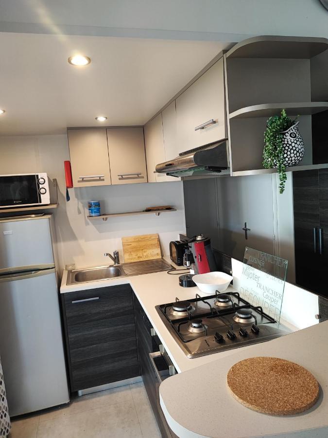 Mobilhome 741 Les Charmettes,3Ch,2Sdb,Lave Linge,Lave Vaisselle,Clim,2Wc 莱马特 外观 照片